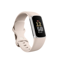 fitbit-charge-6-porcelain-silver-aluminium